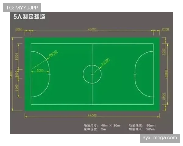 草坪场地规则拆解：标准尺寸与维护细节全解析